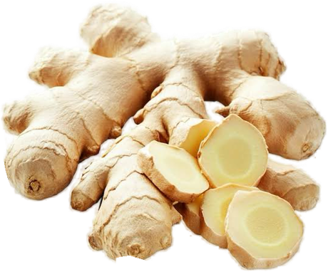 Ginger