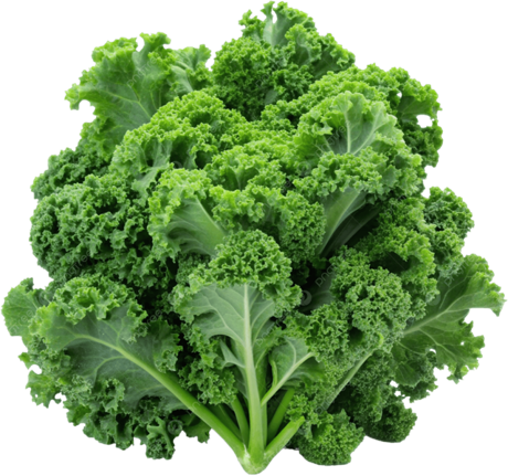Kale